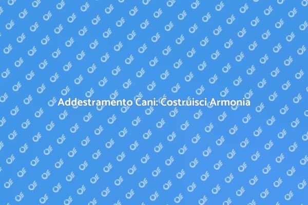 Addestramento Cani: Un Legame Speciale
