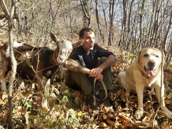 dogsitting, gruppi di dogtrekking e socializzazioni - Foto 21