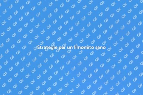 Proteggi il limoneto dai parassiti
