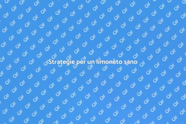 Tutela il limoneto da infestazioni