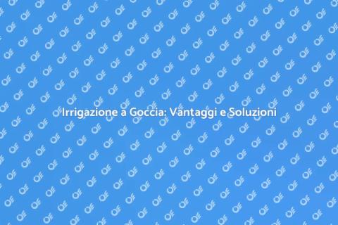 Impianto Irrigazione a Goccia Efficiente
