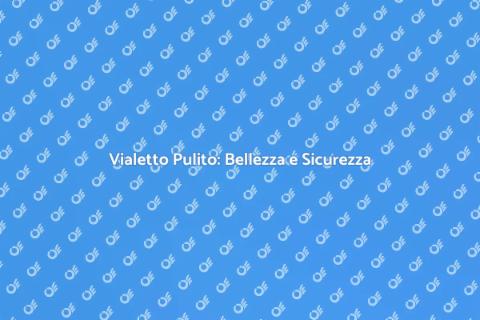 Pulire un Vialetto: Riscopri il Tuo Spazio