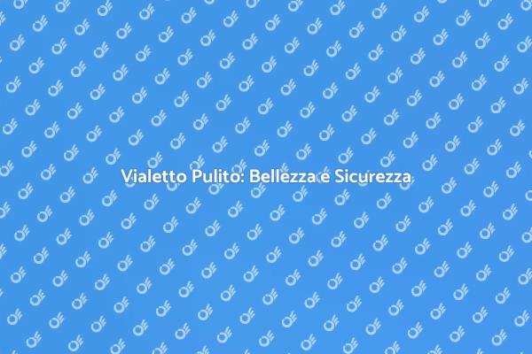 Riscopri il Tuo Vialetto Pulito