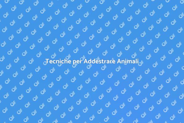 Addestramento di Animali da Spettacolo