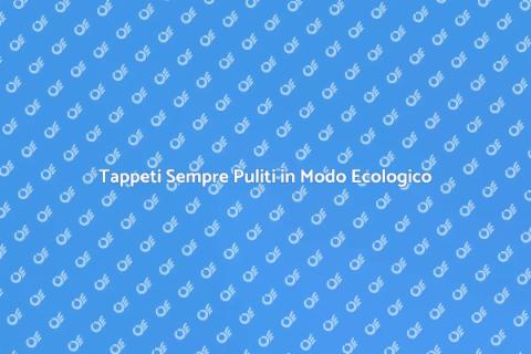Pulizia Ecologica dei Tappeti
