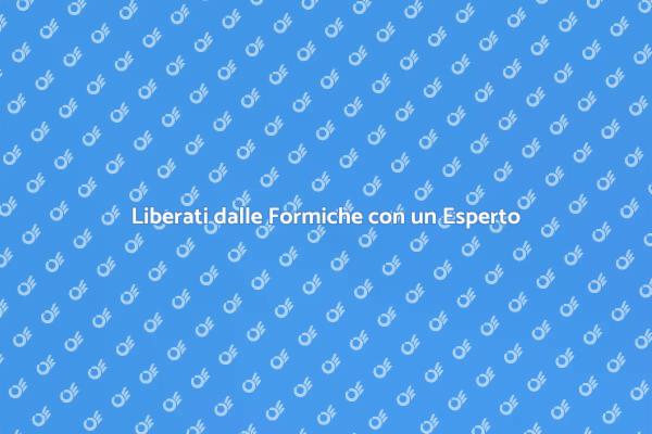 Dì Addio alle Formiche con un Sterminatore
