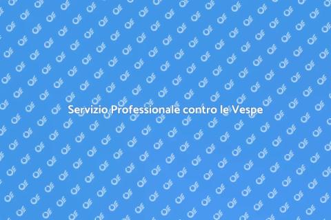Disinfestazione Efficace dalle Vespe