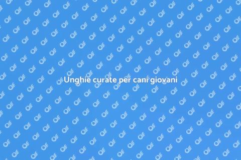 Pulizia unghie cani giovani, benessere