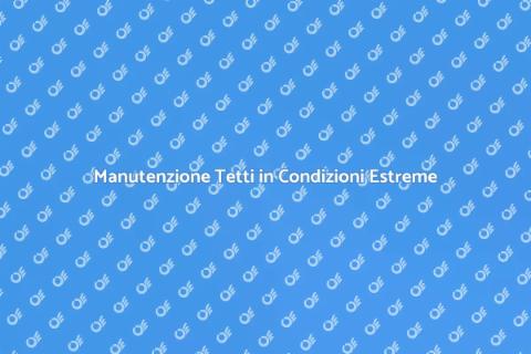 Pulizia Tetto in Situazioni Estreme
