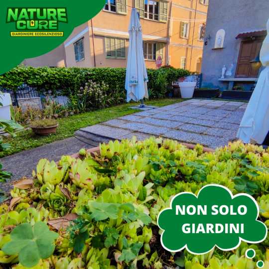Nature Cure di Bianchina Jacopo - Foto 8