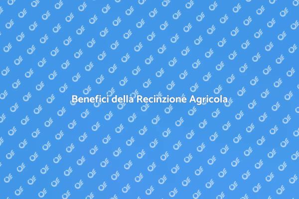 Migliora il Tuo Spazio con Recinzioni