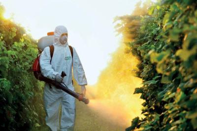 Di.Va. Derattizzazioni e Disinfestazioni  - Foto 5