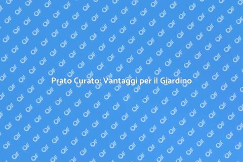 Servizio Prato: Trasforma il Tuo Giardino