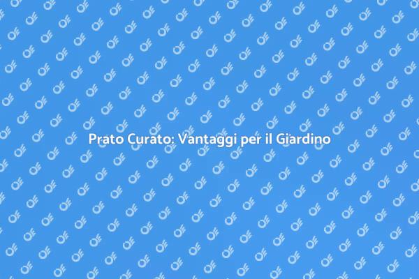 Vantaggi del Servizio Prato per Te