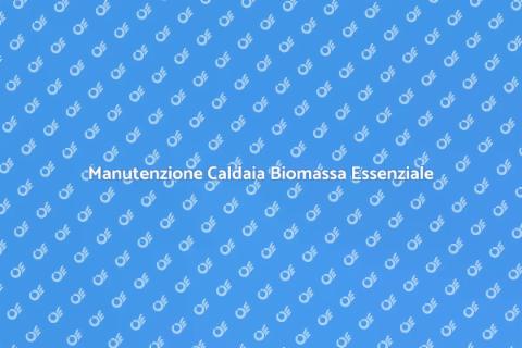 Assistenza Caldaia Biomassa: Importanza