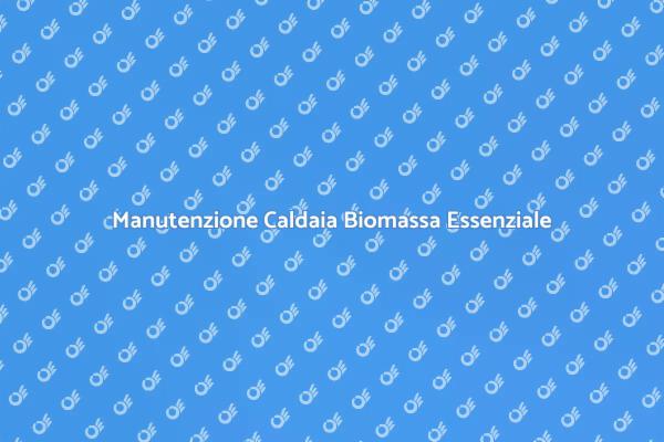 Caldaia Biomassa: Perché la Manutenzione Conta
