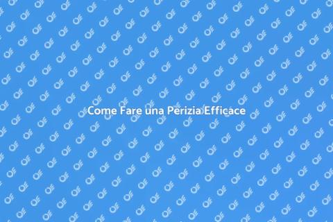 Fare una Perizia: Guida Completa