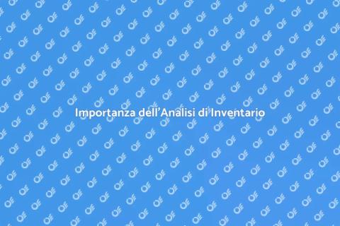 Discrepanze di Inventario: Analisi Essenziale