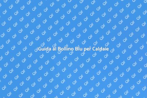 Bollino Blu Caldaia: Scheda Tecnica