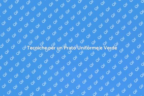 Livellamento Prato per Giardini Perfetti