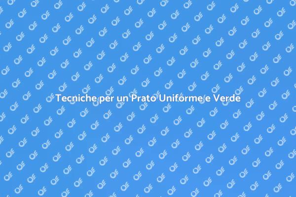 Come Livellare il Prato per un Giardino Ideale