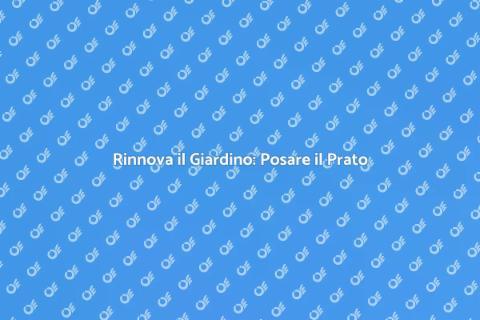 Posare il Prato: Guida Completa