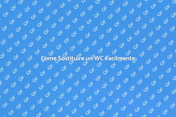 Installazione e Sostituzione WC