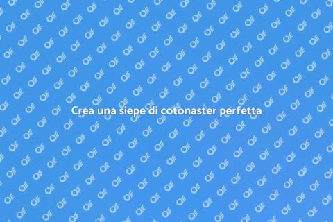 Progettare siepe di cotonaster