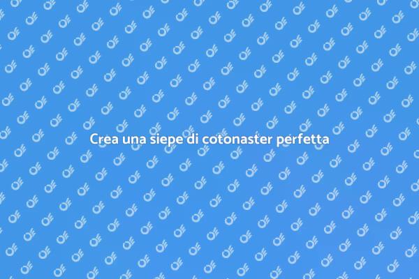 Siepe di cotonaster: guida alla progettazione