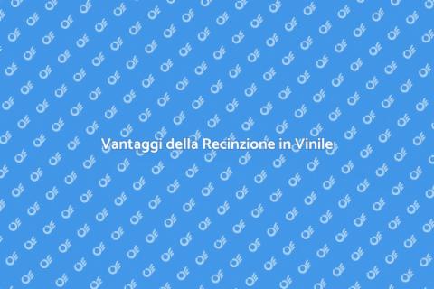 Recinzione in Vinile: Sicurezza e Stile