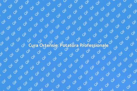 Potatura Professionale Ortensie