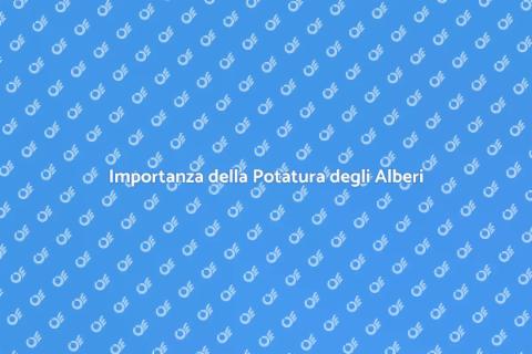 Potare Alberi per Sicurezza Pubblica