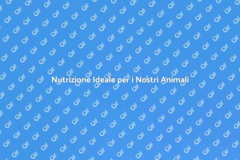 Piano Alimentare Equilibrato per Animali