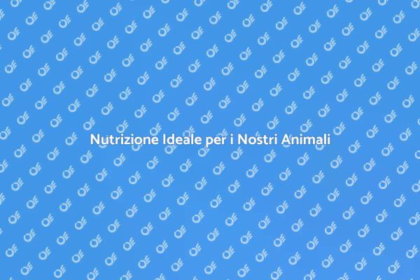 Alimentazione Sana per Animali Domestici