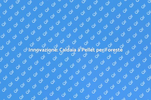 Caldaia a Pellet: Efficiente e Sostenibile