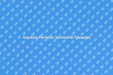 Servizio di Tosaerba Professionale