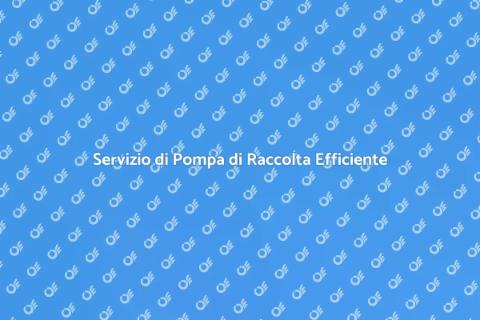 Pompa di Raccolta: Servizio Essenziale