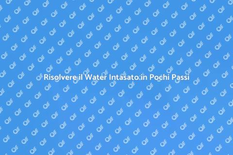 Disotturare il Water Intasato Facile
