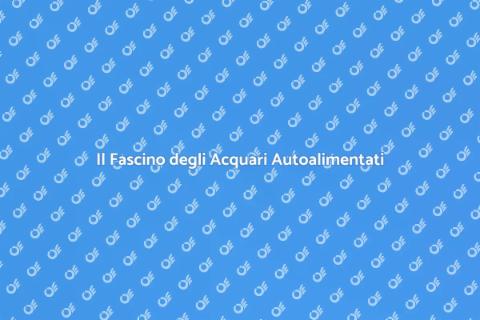 Acquari Autoalimentati: Natura in Casa