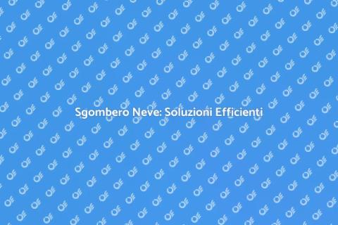 Sgombero Neve: Alta Efficienza per Casa