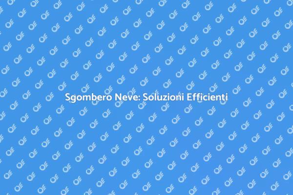 Alta Efficienza per Sgombero Neve