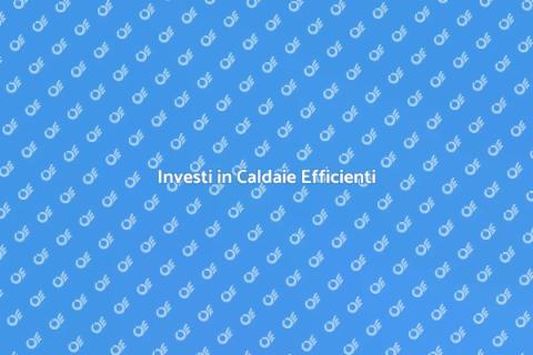 Caldaia ad Alta Efficienza Energetica