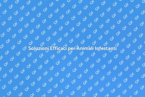 Rimozione Animali Infestanti Professionale