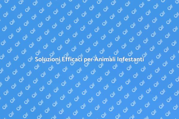 Liberati dagli Infestanti Subito!