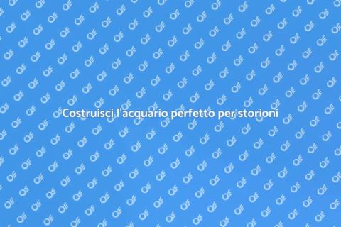 Acquario ideale per pesci storione