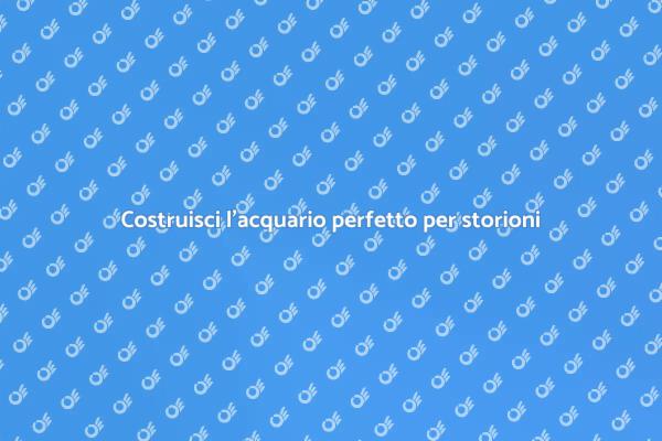 Come allestire un acquario per storioni