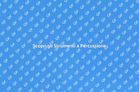 Altri Strumenti a Percussione Unici