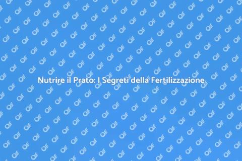 Fertilizzare il Prato: Guida Completa