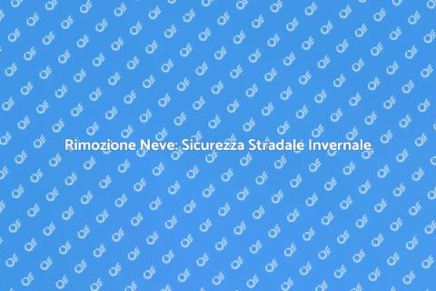 Sgombero Neve Stradale Efficiente