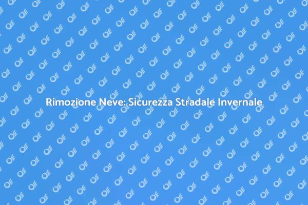 Sicurezza Invernale con Sgombero Neve